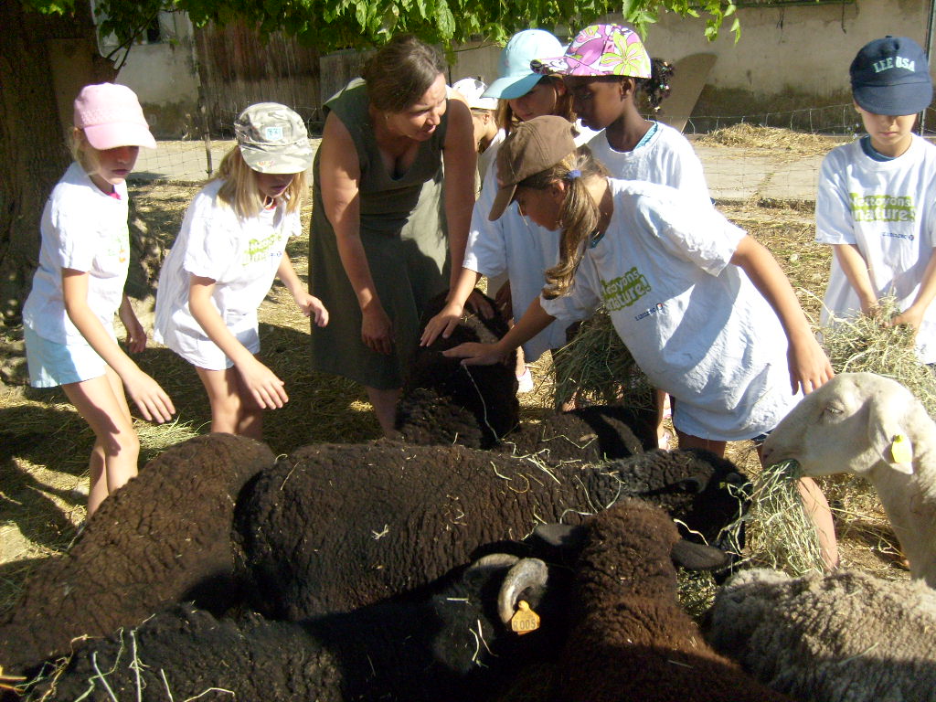 Visite de la ferme